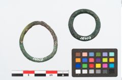 Foto von Bronzering (NHMW-PRAE-026403)